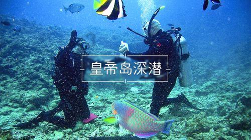大江时评：规范名称，让非法社会组织无处遁形