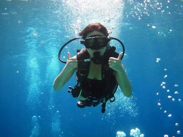 逃出白海豹洞