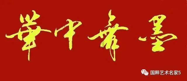 小艾比摄影家